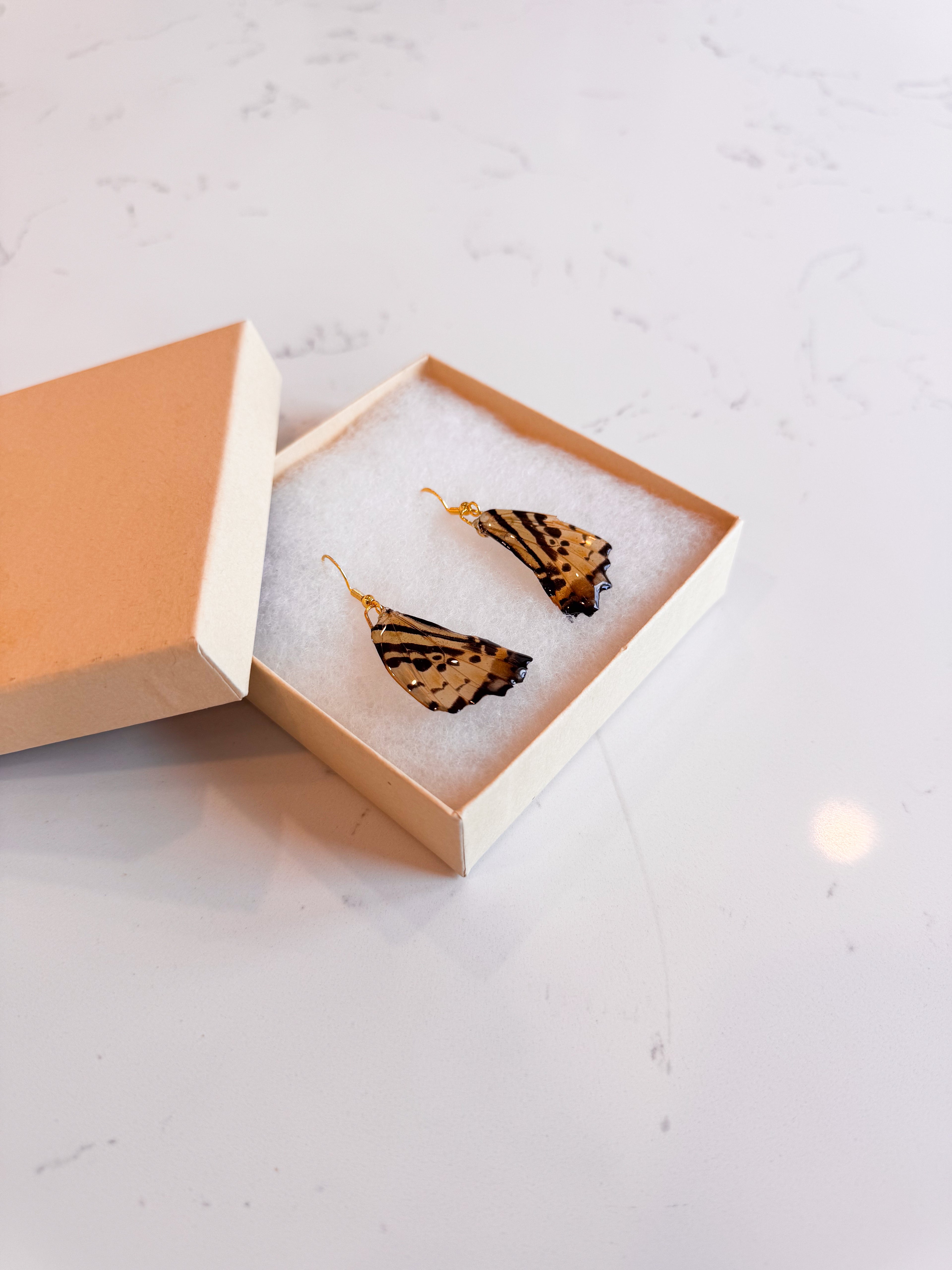 Real Butterfly Wing Earrings - Small Translucent Yellow & Black