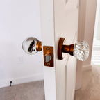 10-Lined June Beetle Resin Doorknob