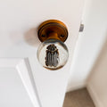 10-Lined June Beetle Resin Doorknob