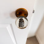 10-Lined June Beetle Resin Doorknob